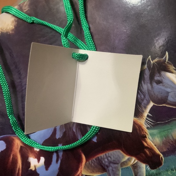 New Gift Bags $4 each - Picture 4 of 7